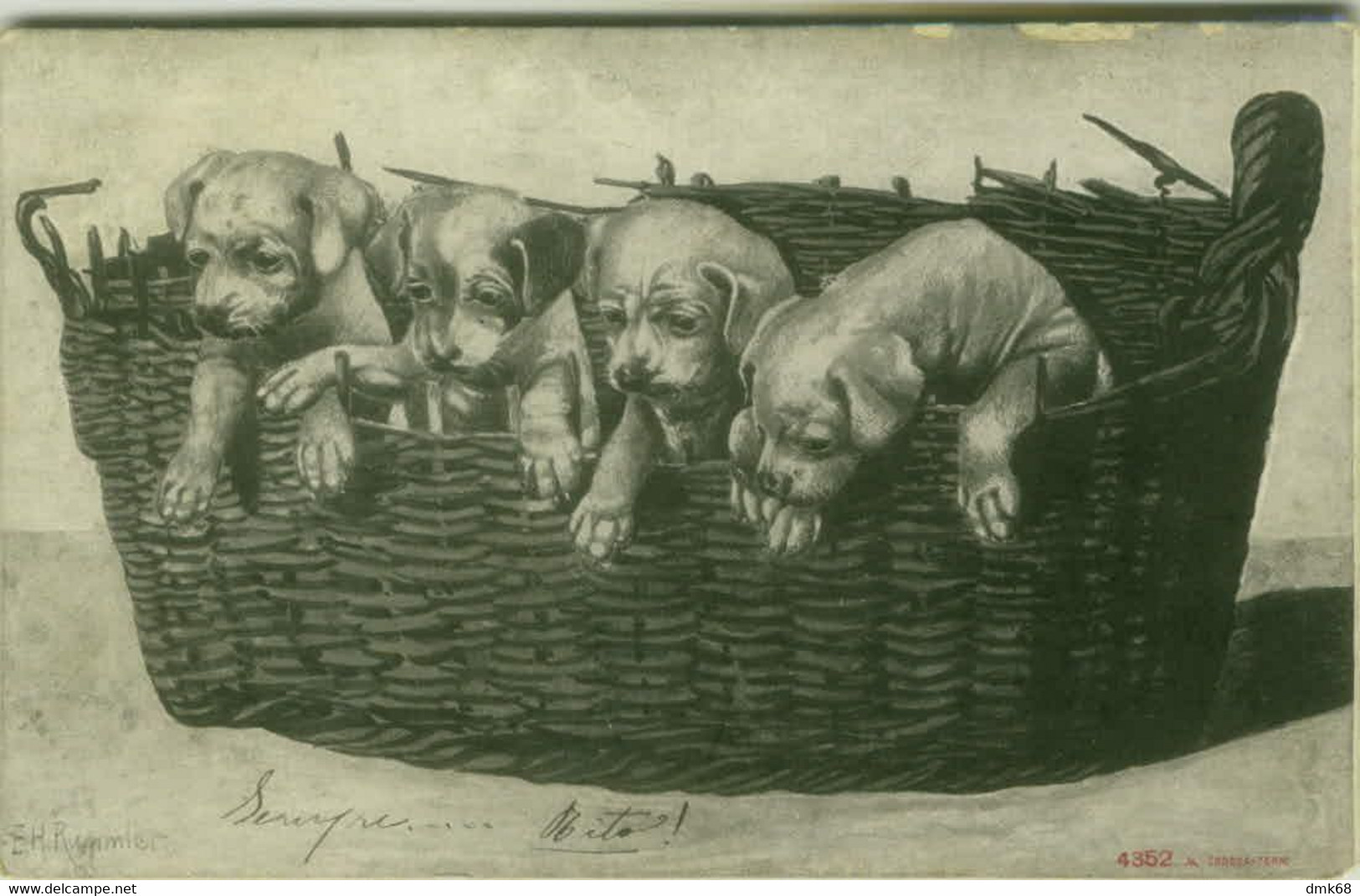 E.H. RUMMLER  SIGNED POSTCARD 1900s - DOGS - EDIT ALTEROCCA N.4352  (BG1097) - Otros & Sin Clasificación