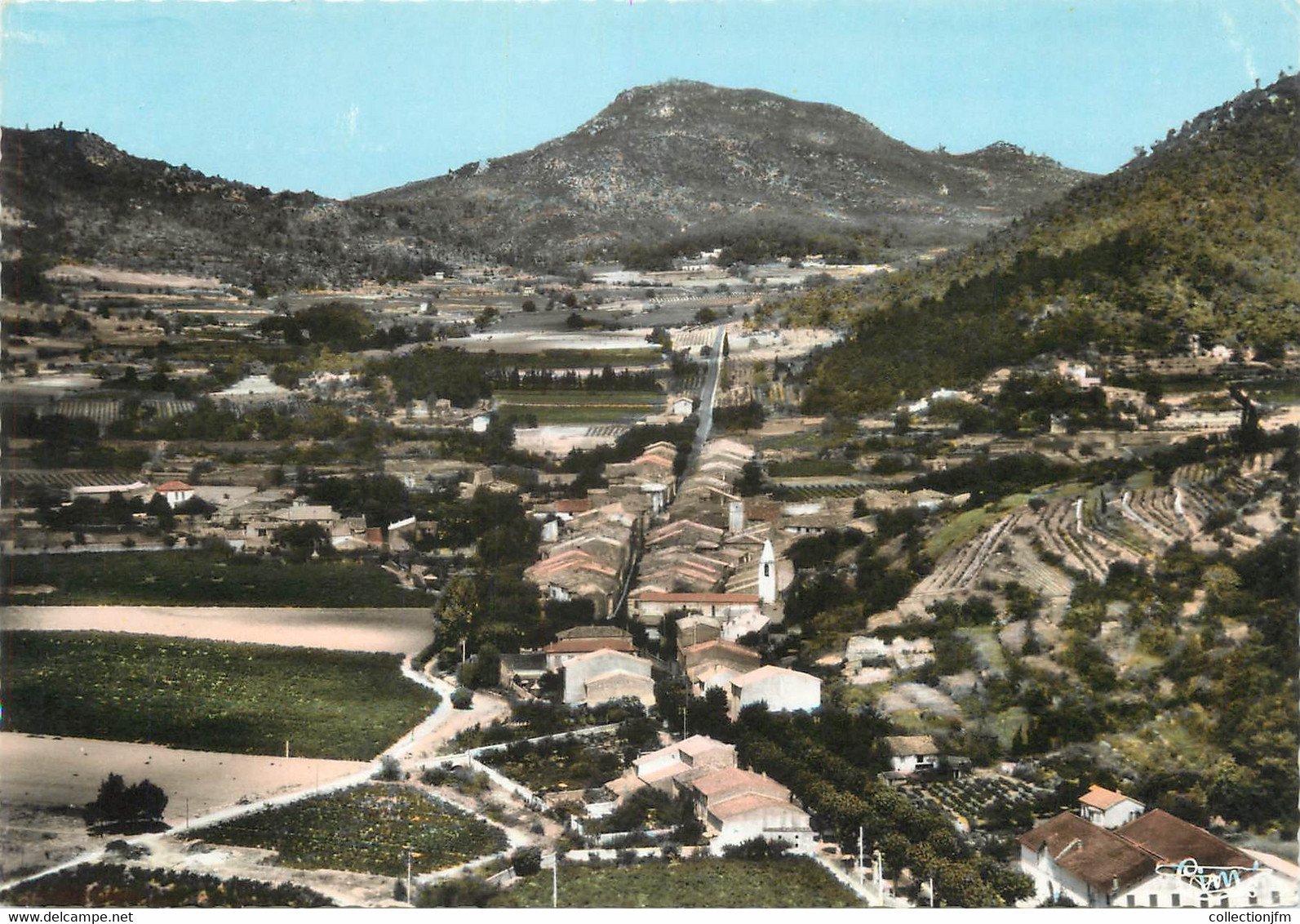 / CPSM FRANCE 83 "La Roquebrussanne, Vue Panoramique" - La Roquebrussanne