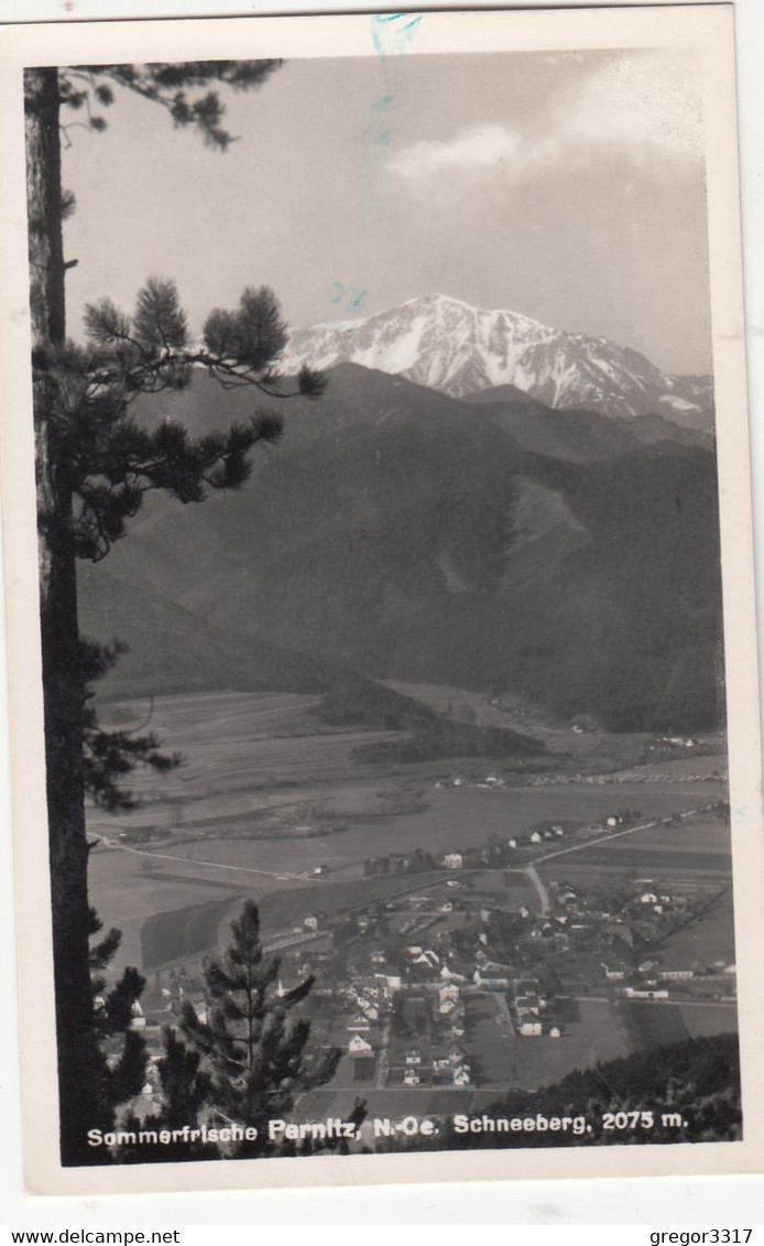 1991) PERNITZ - NÖ - Schneeberg - Häuser Details Von Oben Mit Straßen Und Feldern ALT !! 1953 - Pernitz