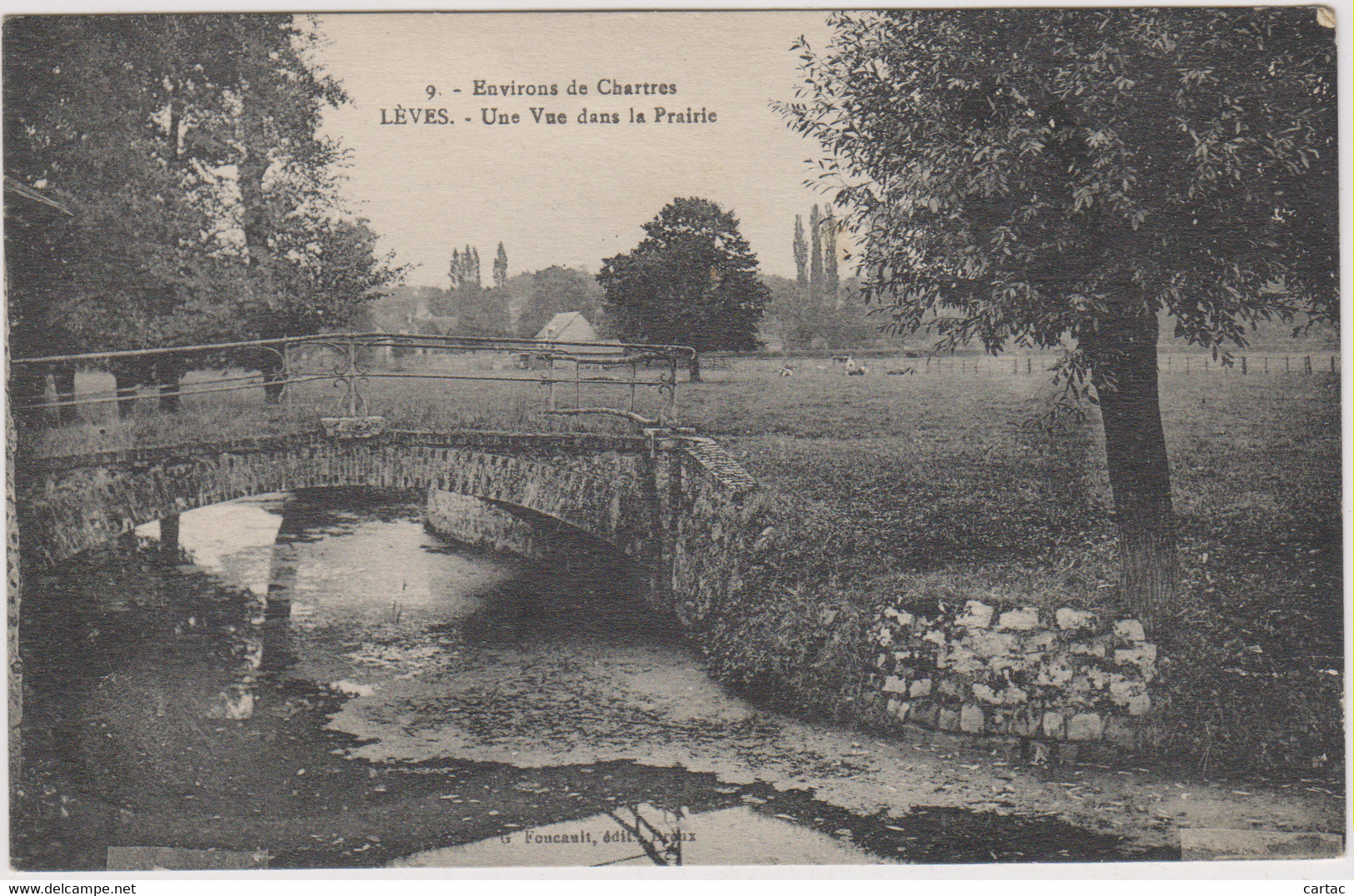 D28 - LÈVES - UNE VUE DANS LA PRAIRIE - ENVIRONS DE CHARTRES - Lèves