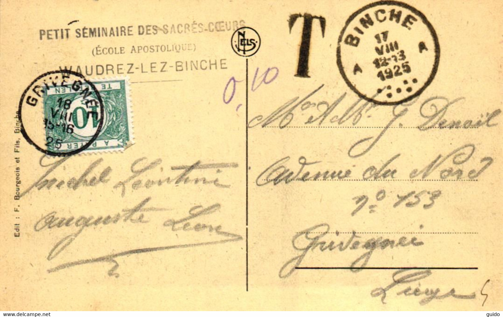 P428 BINCHE : Panorama, Carte Envoyée, Avec Taxe-port - Binche