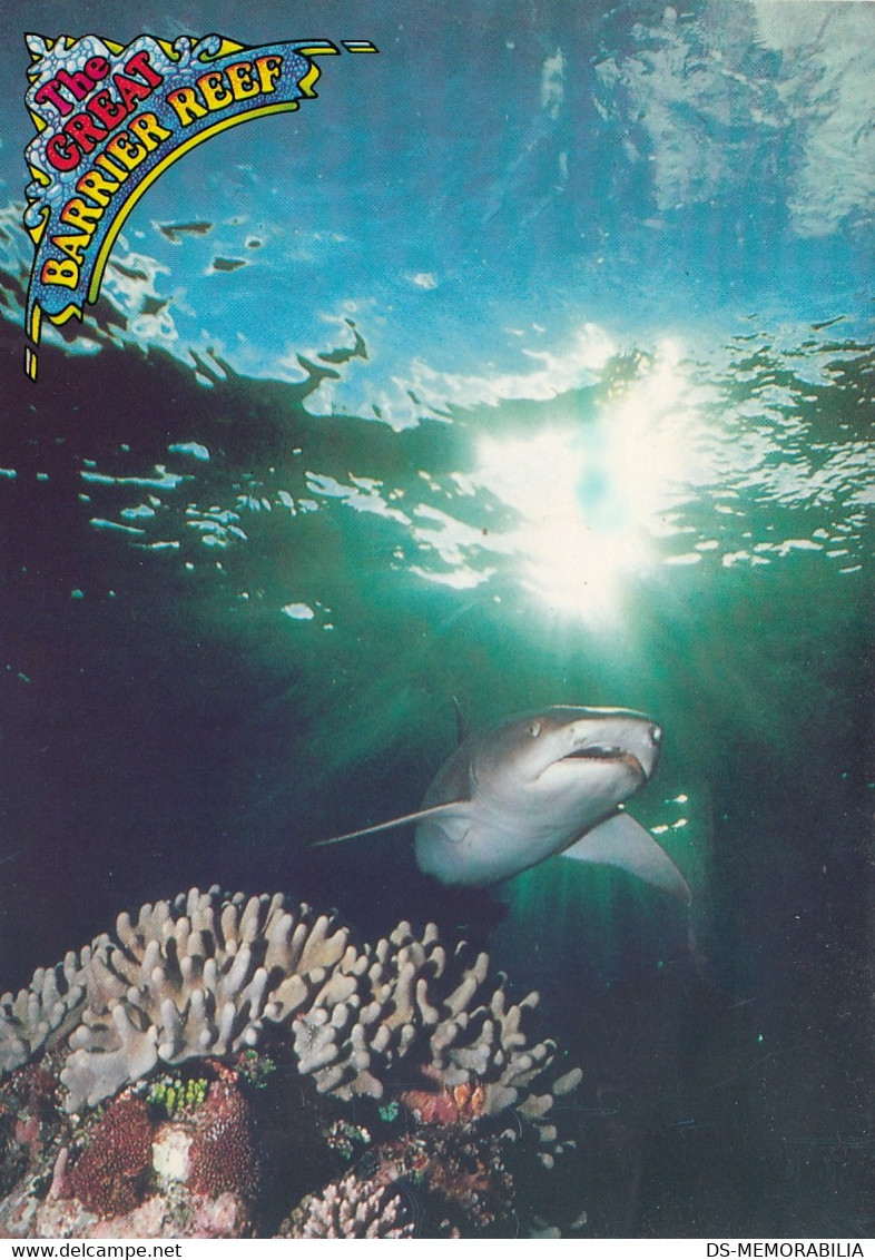 The Great Barrier Reef - The White Tipped Reef Shark 1987 - Great Barrier Reef