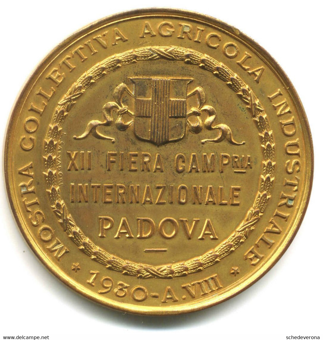 PADOVA XII^ FIERA MOSTRA COLLETTIVA AGRICOLA 1930 RARA MEDAGLIA REGNO ITALIA - Royaux/De Noblesse