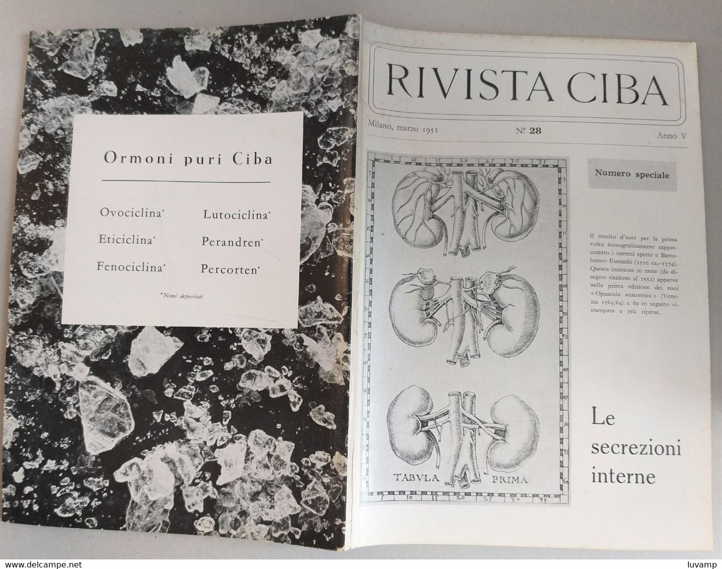 RIVISTA  DI MEDICINA CIBA  -   SECREZIONI INTERNE N. 28 ( CART 77) - Santé Et Beauté