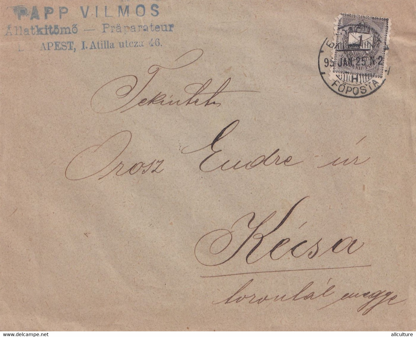 A1154 - PAPP VILMOS ALLATKITOMO PRAPARATEUR  LETTER TO KECSA 1895  STAMP - Cartas & Documentos