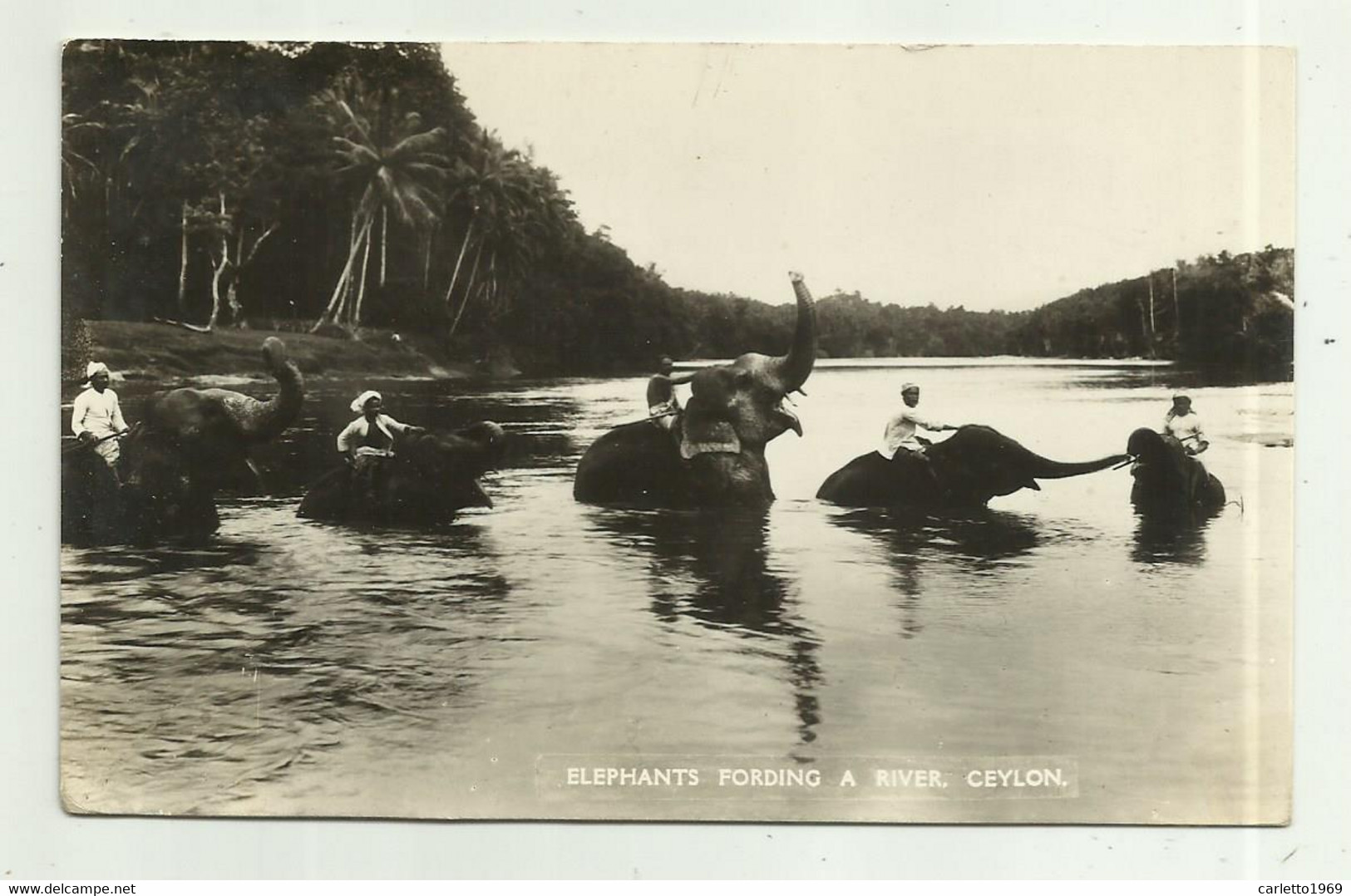 ELEPHANTS FORDING A RIVER. CEYLON - VIAGGIATA  FP - Sri Lanka (Ceylon)