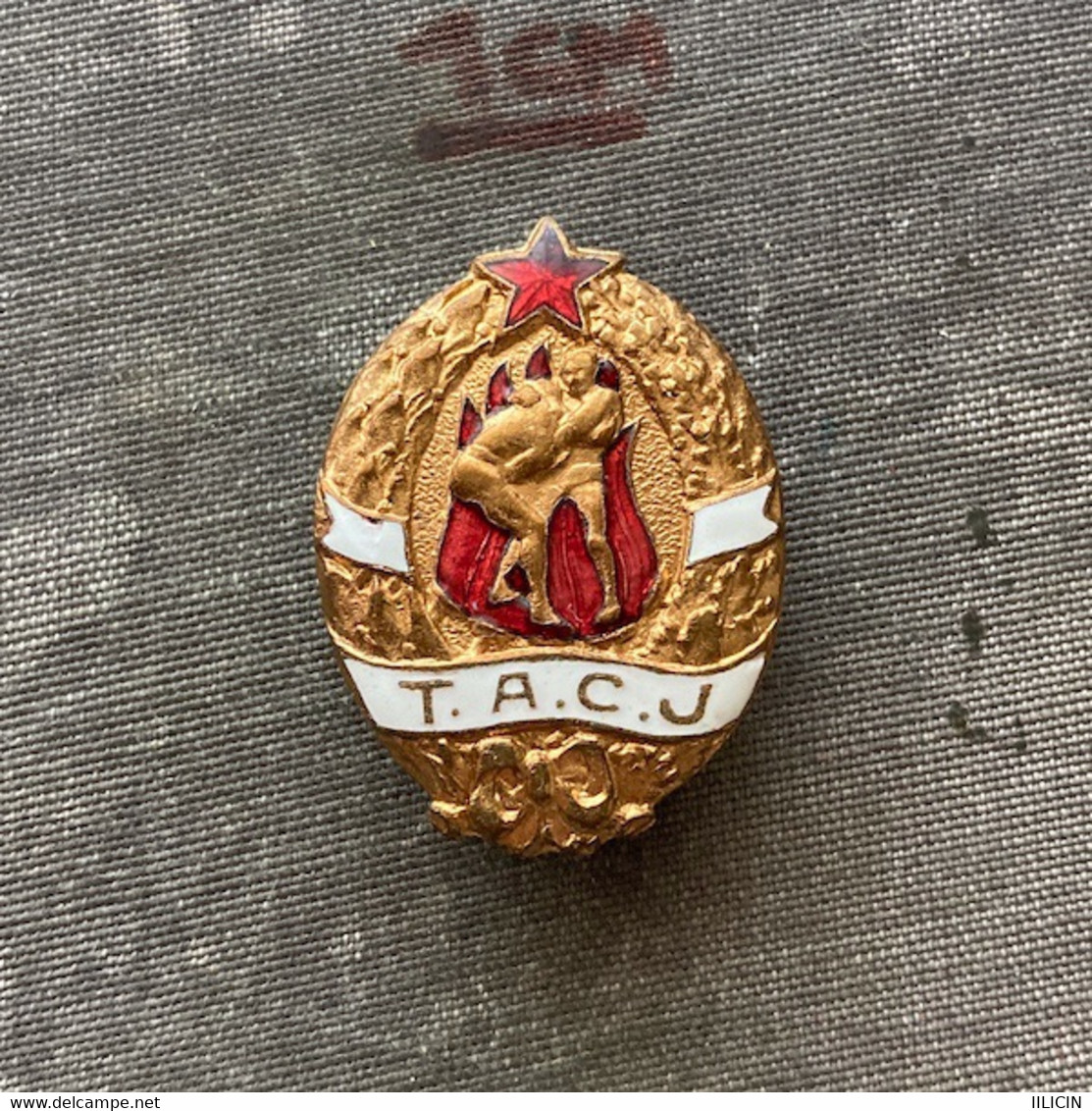 Badge Pin ZN010132 - Wrestling Athletics Federation Of Yugoslavia (Teskoatletski Savez Jugoslavije) TACJ (TASJ) - Lotta