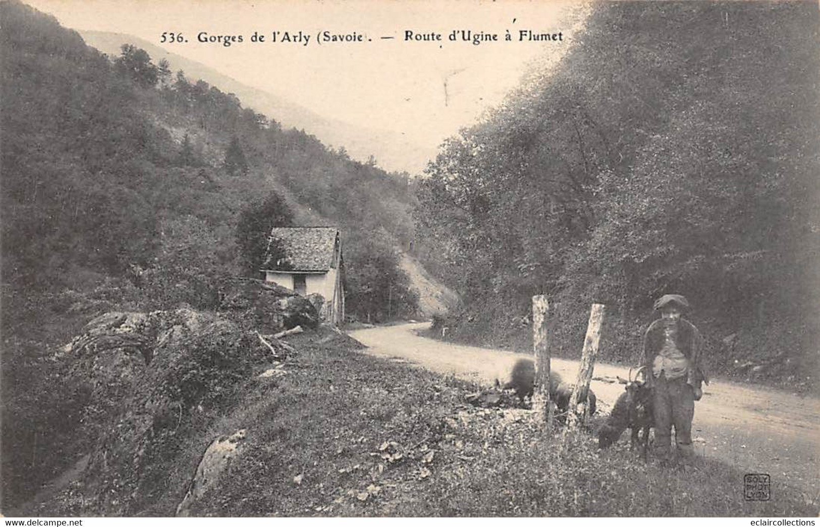 Flumet          73       Gorges De L'Arly Route D'Ugine . Berger Et Chèvres           (voir Scan) - Autres & Non Classés