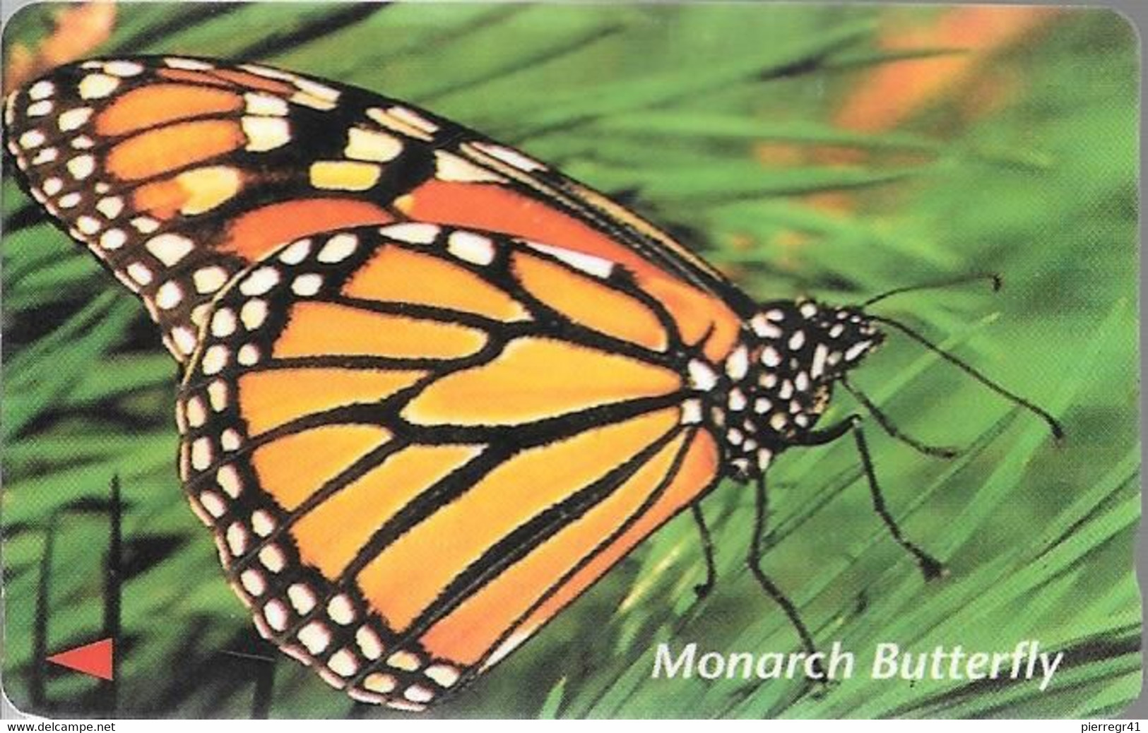 CARTE-MAGNETIQUE-VIET NAM-1999-PPILLON-MONARCH BUTTERFLY-BE-Leger Condolement - Farfalle