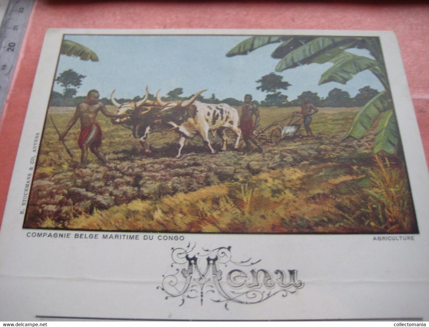Authentic Menu Card, 8 November 1928 Congo Boat ANVERSVILLE, COWS Agriculture, First Class Kongo Etnisch - Menus