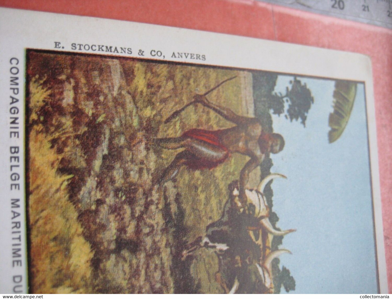 authentic Menu card, 8 november 1928 Congo boat ANVERSVILLE, COWS agriculture, First Class Kongo etnisch