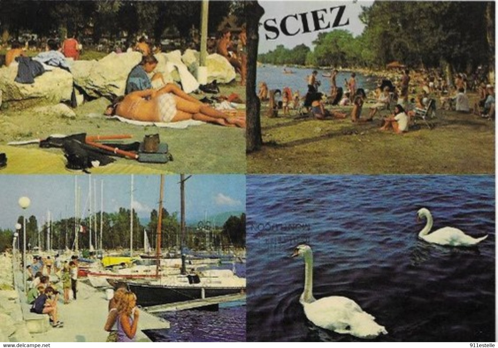 74 SCIEZ . LA PLAGE . LE PORT  ET EXPOSITION DE BEAUX SPECIMENS - Sciez