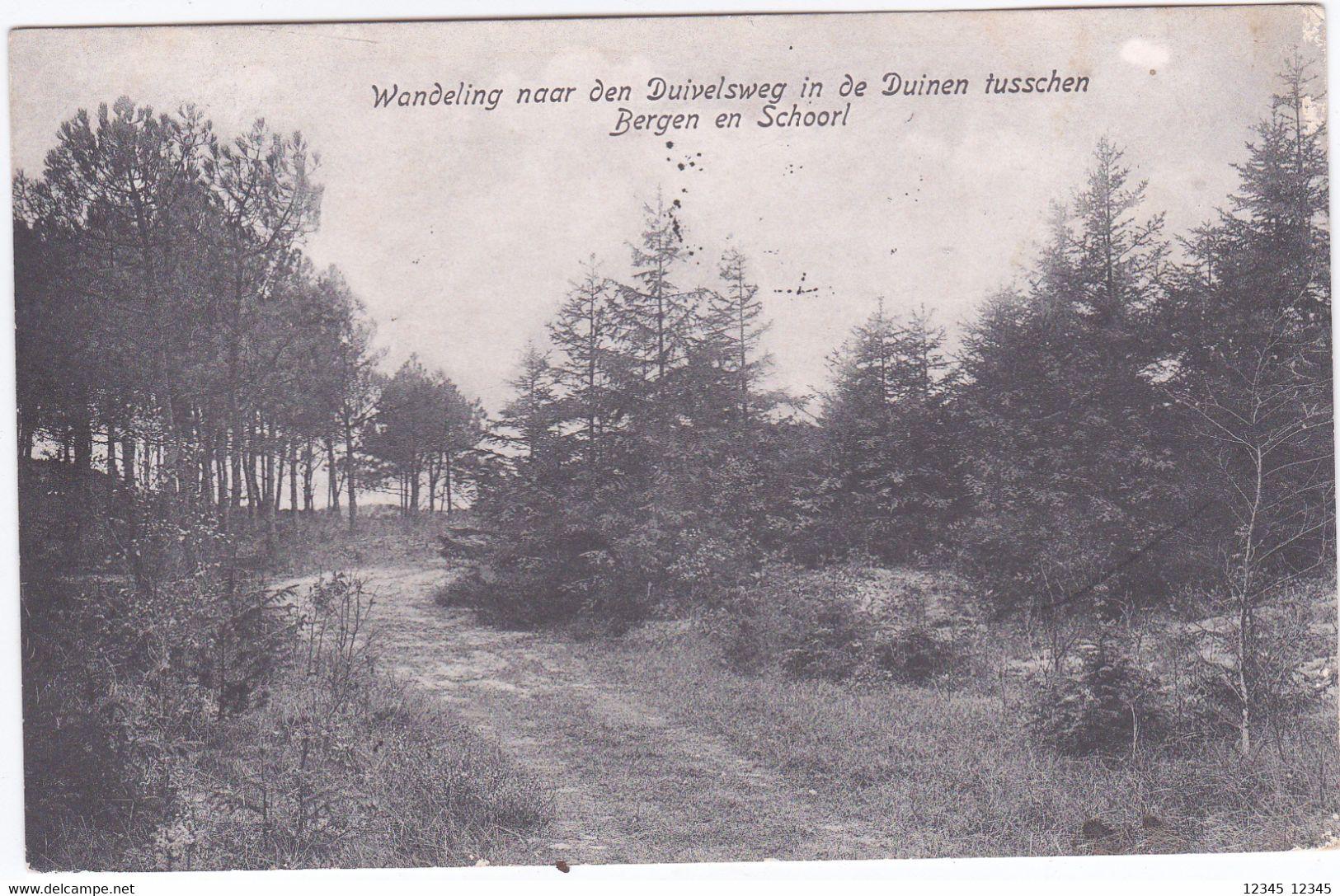 Wandeling Naar De Duivelsweg In De Duinen Tusschen Berg En Schoorl - Schoorl