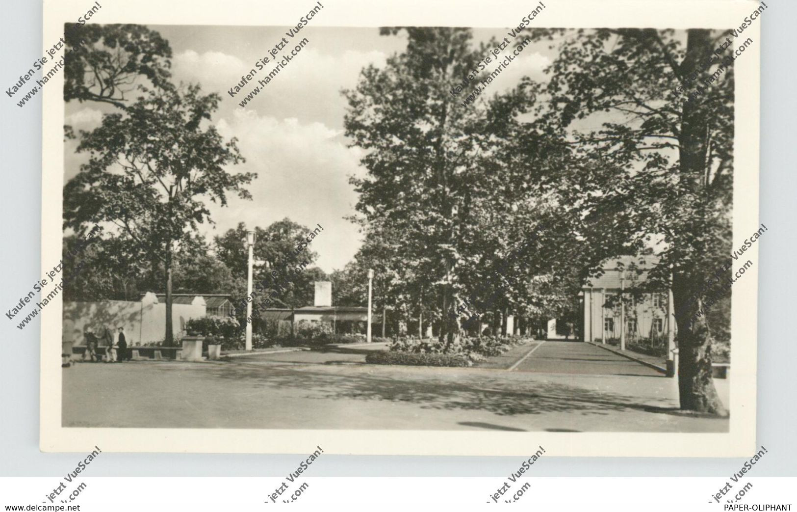 1000 BERLIN - FRIEDRICHSFELDE, Eingang Zum Tierpark / Zoo, 1955 - Hohenschoenhausen