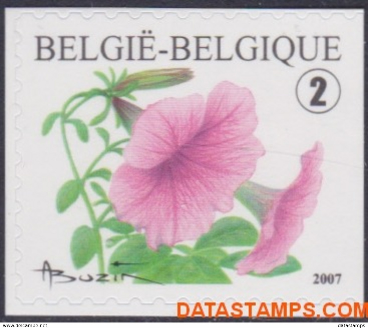 België 2007 - Mi:3769 Dr, Yv:3702, OBP:3733a, Stamp - XX - Flowers Petunia Hybrida - Unused Stamps