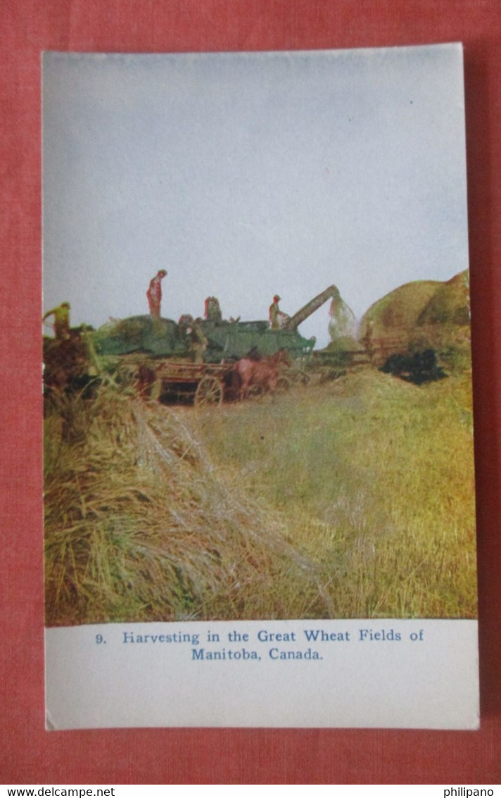 Harvesting In The Great Wheat Fields Of  Manitoba > Canada > Manitoba >  Ref 4817 - Sonstige & Ohne Zuordnung