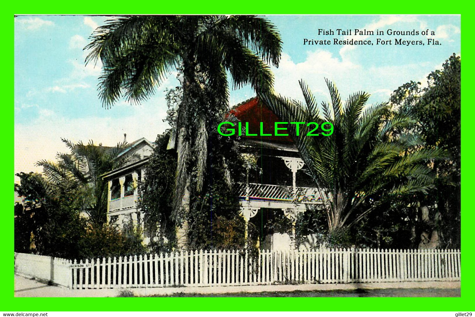 FORT MEYERS, FL - FISH TAIL PALM IN GROUNDS OF A PRIVATE RESIDENCE - PUB NY THE H. & W.B. DREW CO - - Fort Myers
