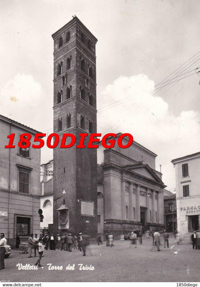 VELLETRI - TORRE DEL TRIVIO F/GRANDE  VIAGGIATA  ANIMAZIONE - Velletri