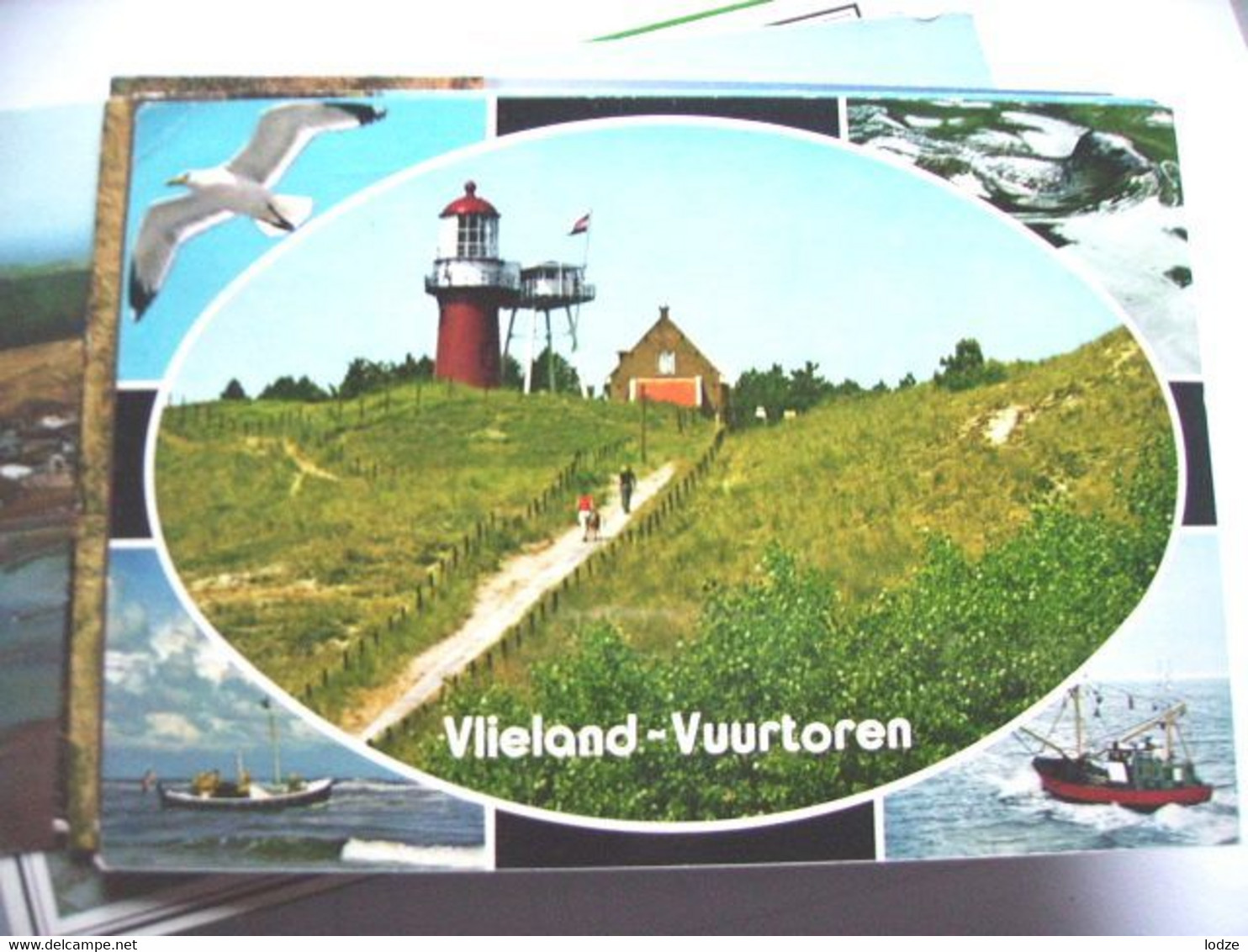 Nederland Holland Pays Bas Vlieland Met Vuurtoren En Toegangspad - Vlieland