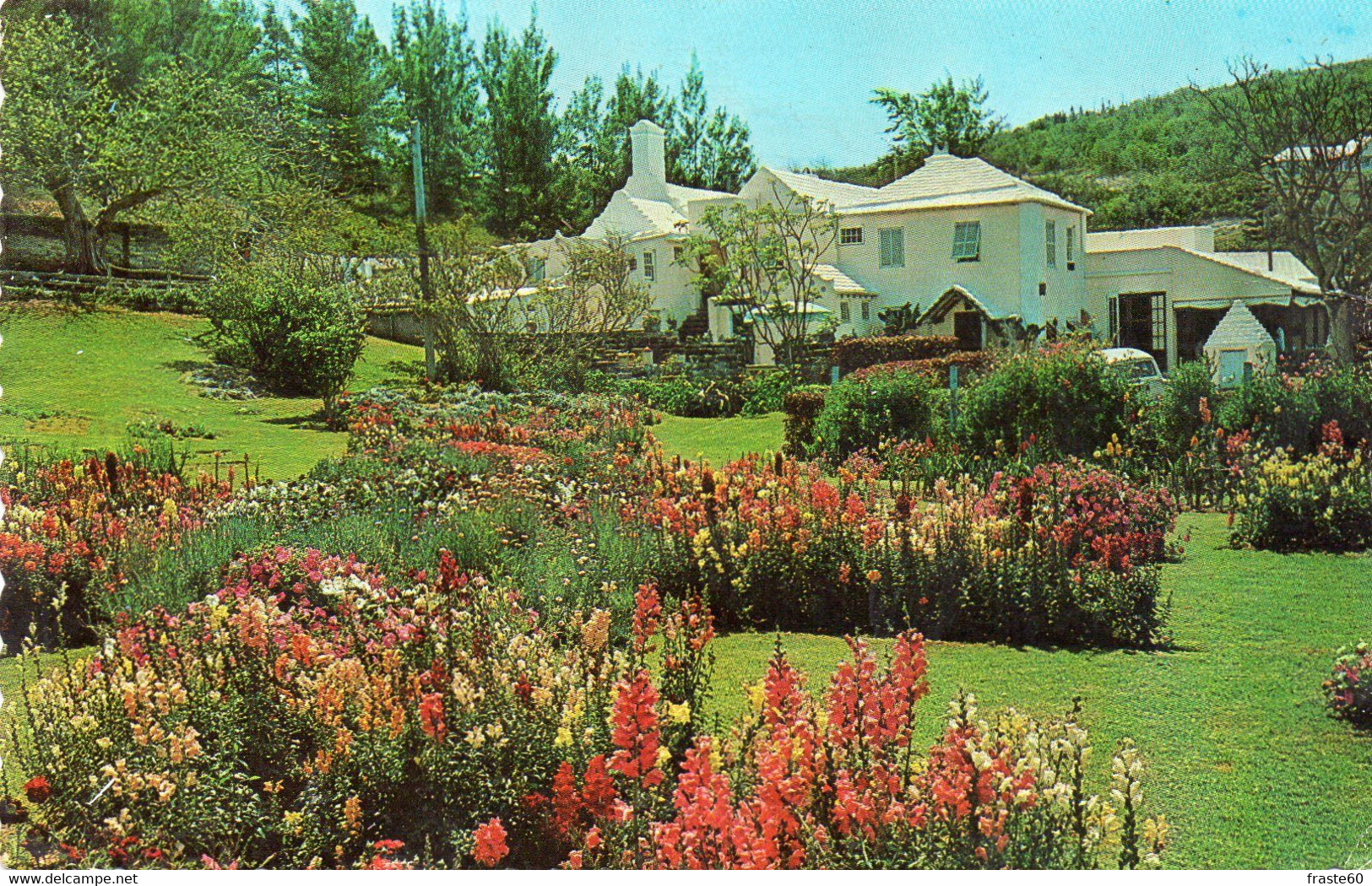 ~~ Bermuda - Southampton - The Garden At Waterlot Inn - Bermuda