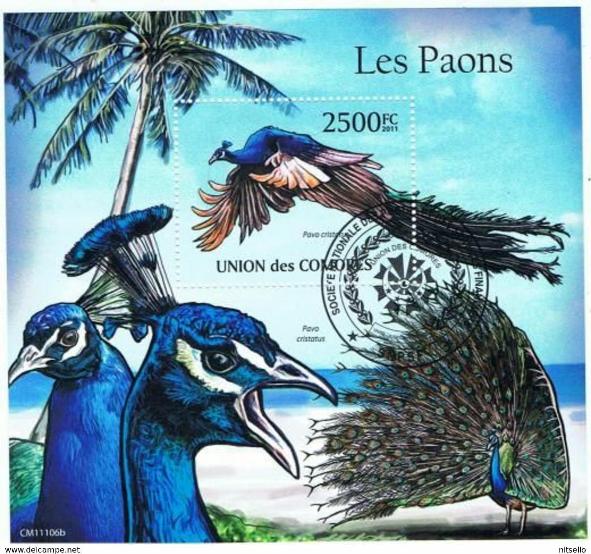 HB FAUNA //// COMORES  PAVO REAL - Comores (1975-...)