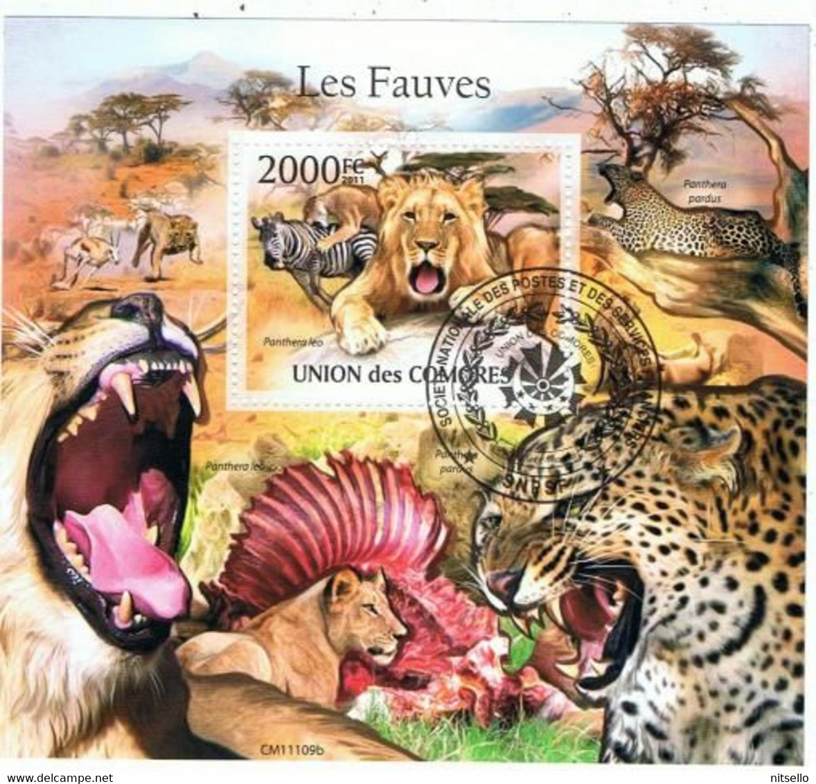 HB FAUNA //// COMORES  FELINOS - Ungebraucht