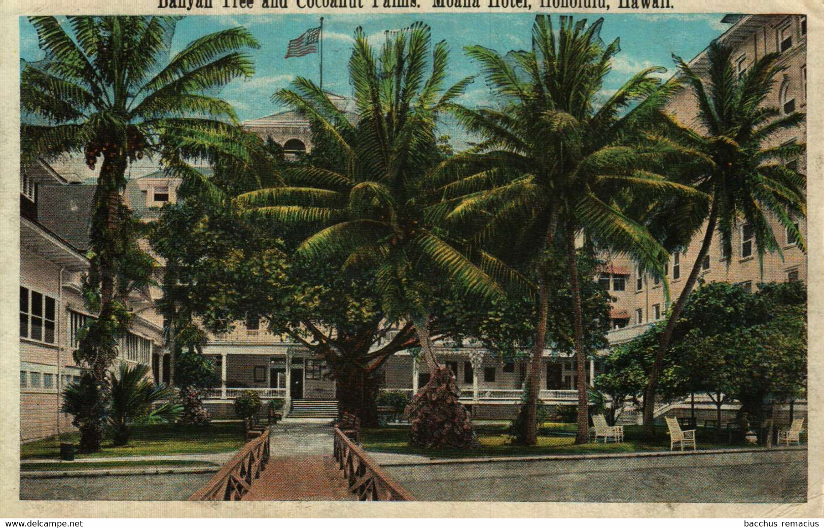 HONOLULU  Hawaii    Banyan Tree And Coconut Palms, Moana Hotel - Honolulu