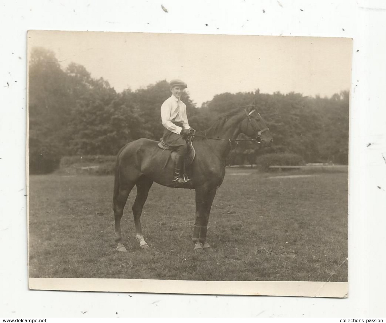 Photographie , 110 X 90 Mm , Sports , équitation ,cheval , Cavalier - Sport