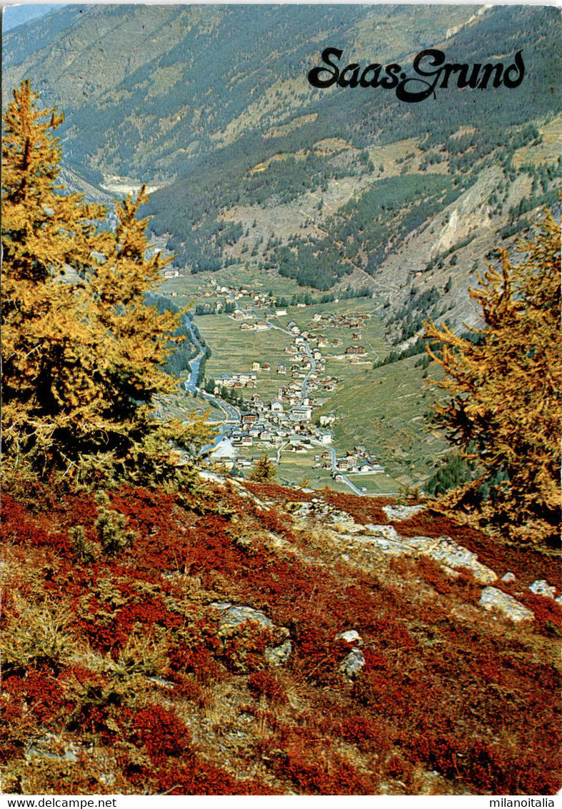 Saas-Grund (559) * 2. 8. 1971 - Saas-Grund