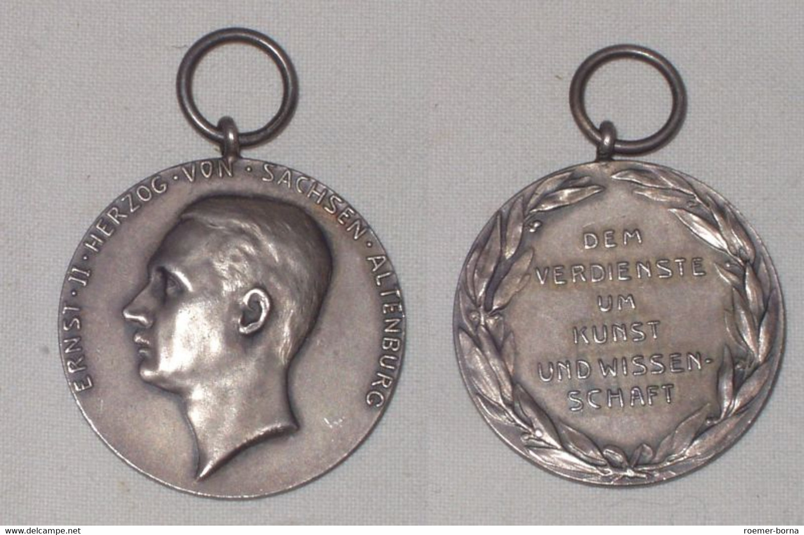 Sachsen Altenburg Medaille Für Kunst Und Wissenschaft (BN6988) - Allemagne