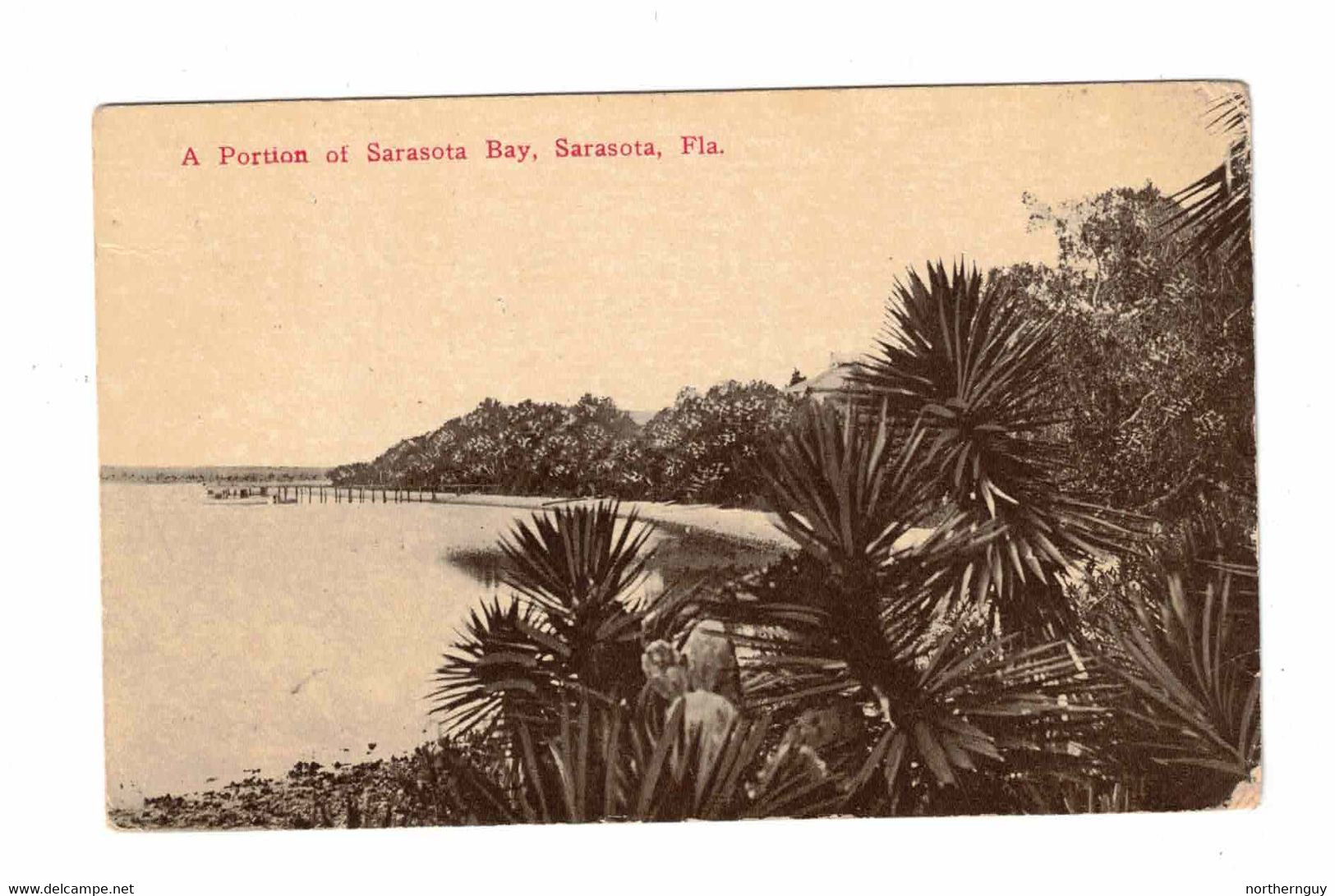 Sarasota, Florida, USA, "A Portion Of Sarasota Bay...". 1914 Postcard - Sarasota