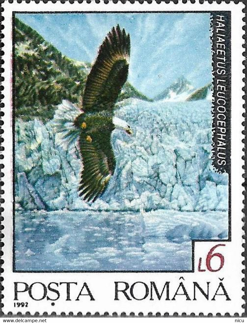 1992 - BIRD (EAGLE) - BALD EAGLE (Haliaetus Leucophalus) - Andere & Zonder Classificatie