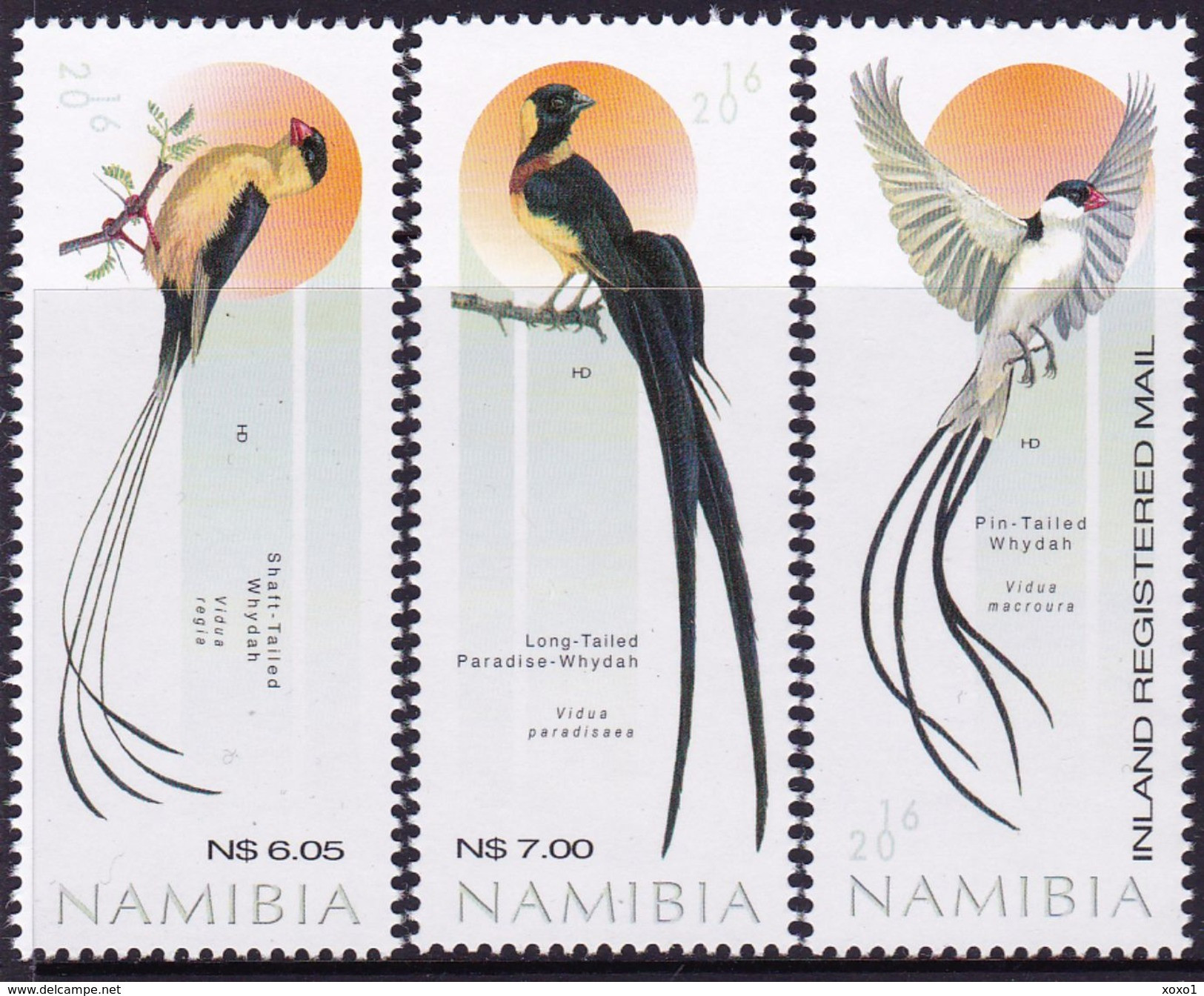 Namibia 2016 MiNr. 1533 - 1535  BIRDS 3v  MNH** 13,00 € - Namibia (1990- ...)