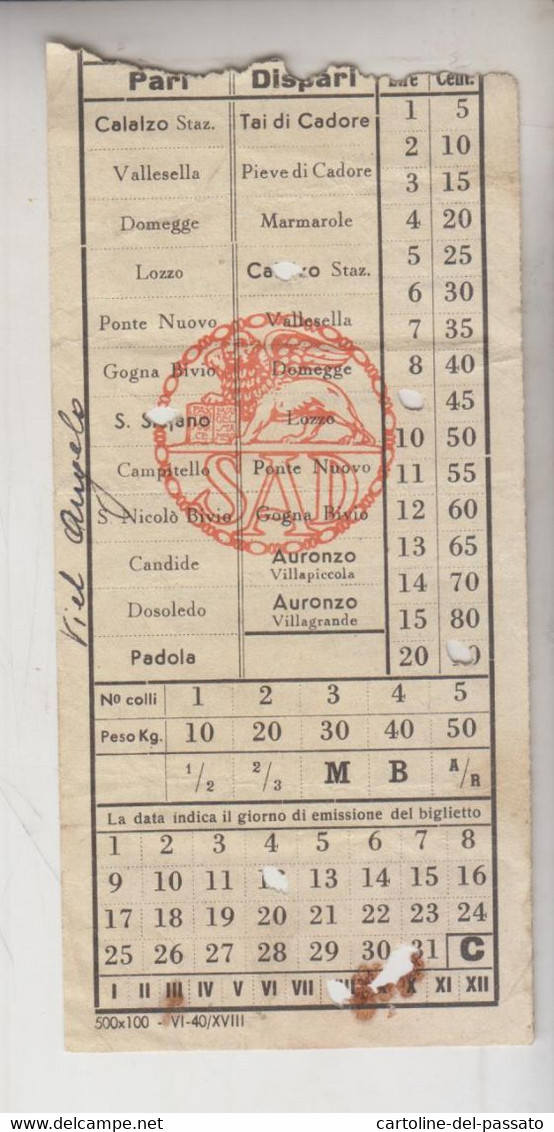 Biglietto Ticket Buillet Biglietto Ticket Bus Autolinea SAD Calalzo S. Stefano - Europe