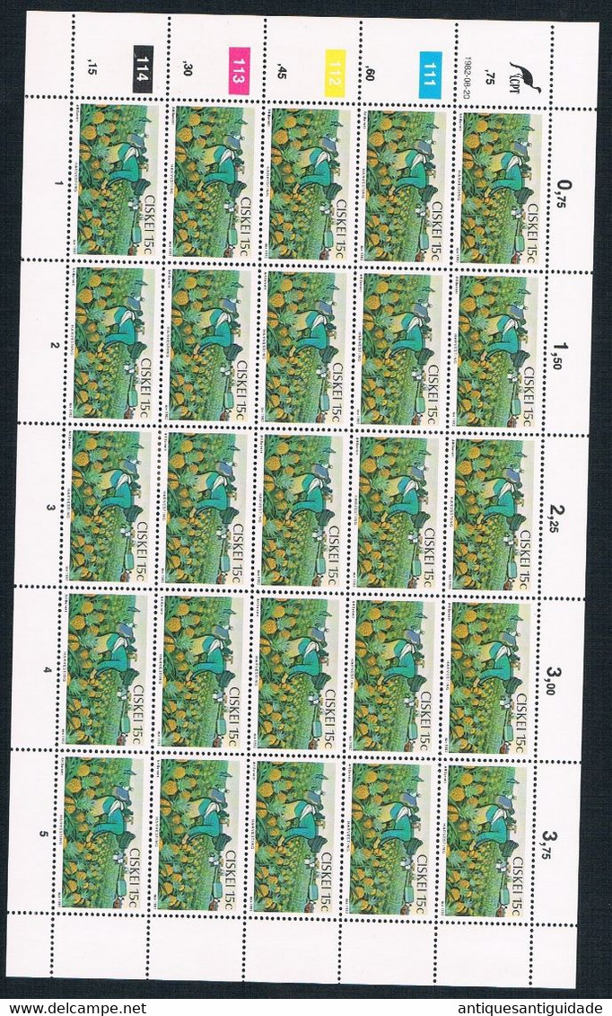 1982  South Africa - CISKEI - Harvesting - 15 Cents - Sheet Of 20 MNH - Unused Stamps