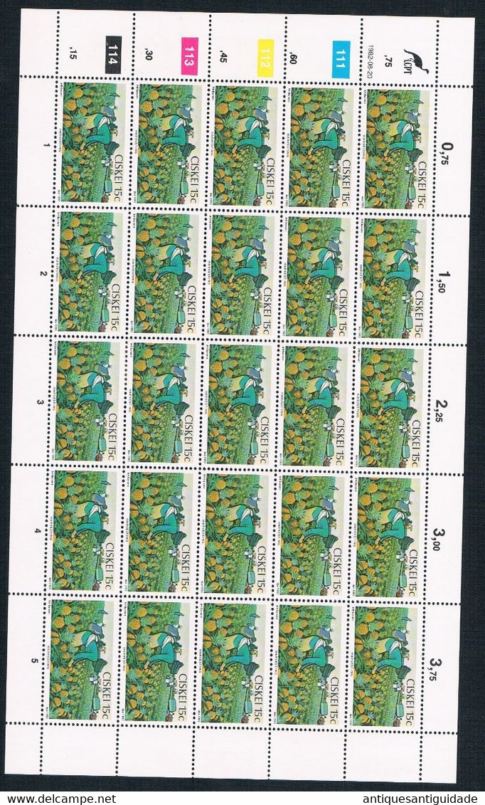 1982  South Africa - CISKEI - Harvesting - 15 Cents - Sheet Of 20 MNH - Ongebruikt