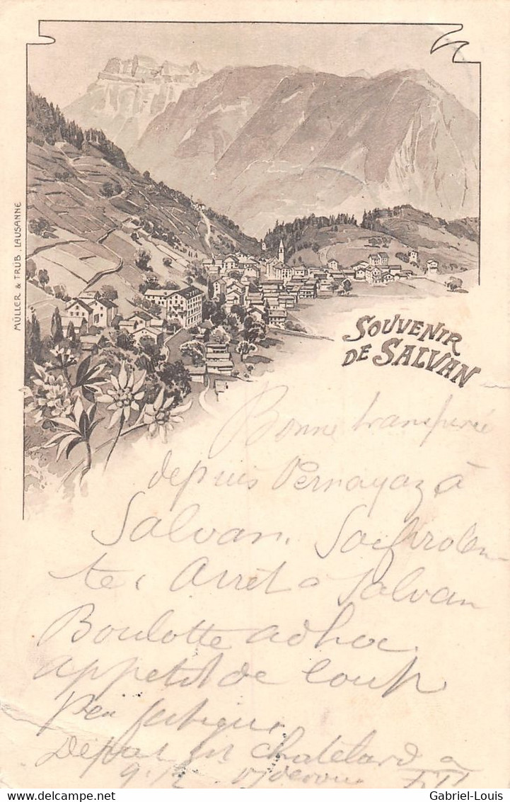 Souvenir De Salvan - 1900 Litho - Salvan