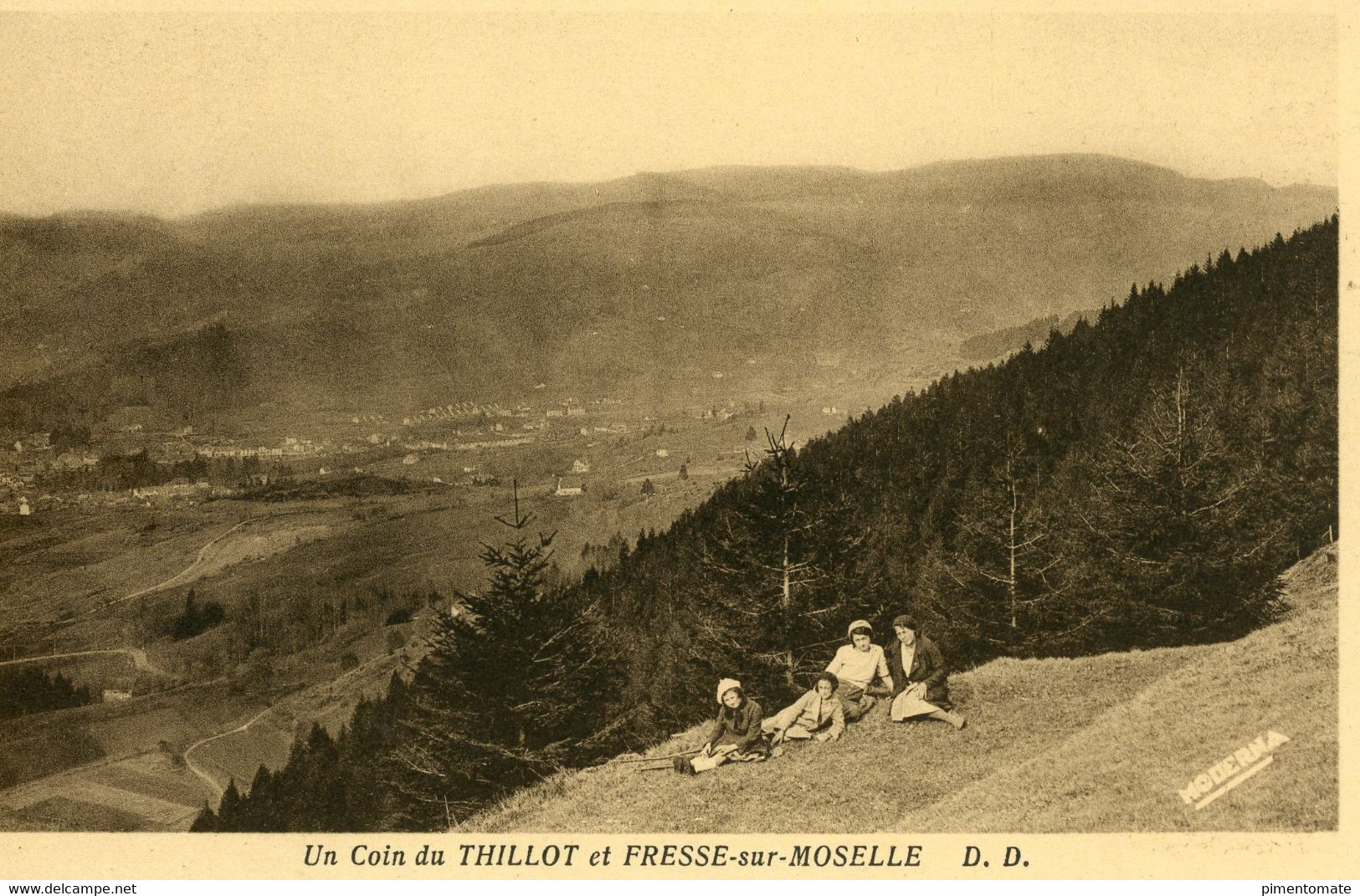 FRESSE SUR MOSELLE UN COIN DU THILLOT - Fresse Sur Moselle