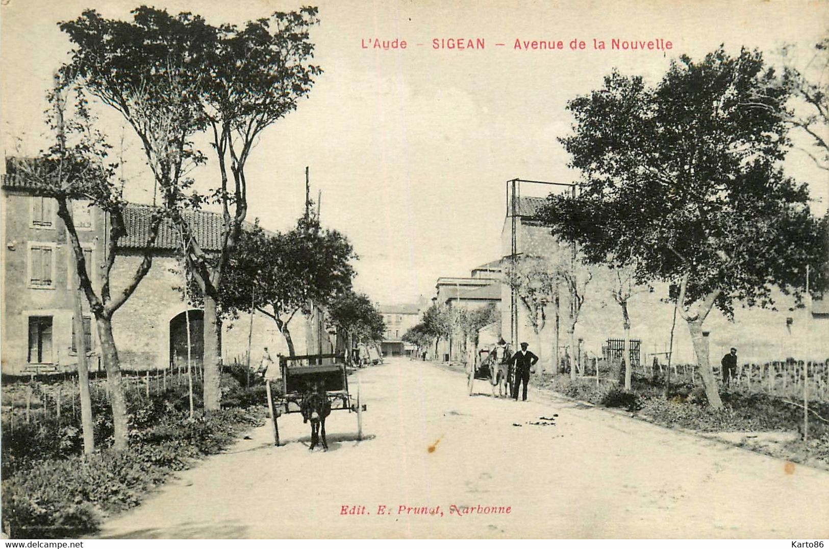 Sigean * Avenue De La Nouvelle * Attelage âne - Sigean