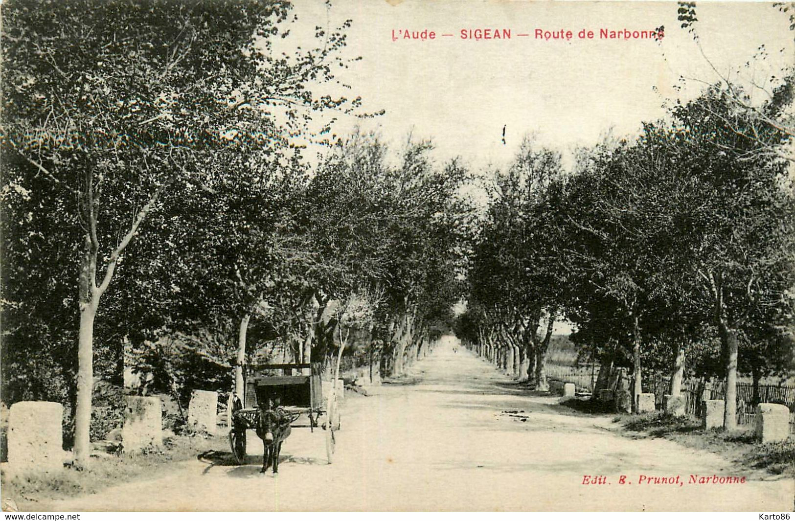 Sigean * La Route De Narbonne * Attelage âne - Sigean