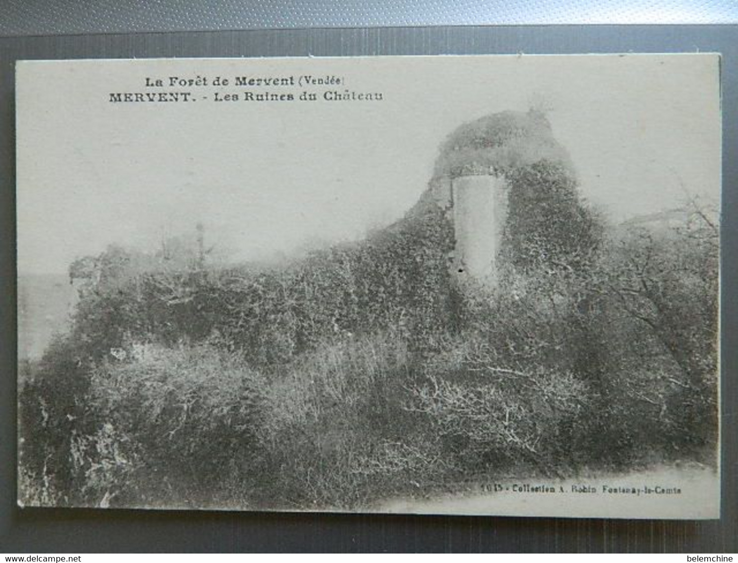LA FORET DE MERVENT                                                   LES RUINES DU CHATEAU - Saint Hilaire Des Loges