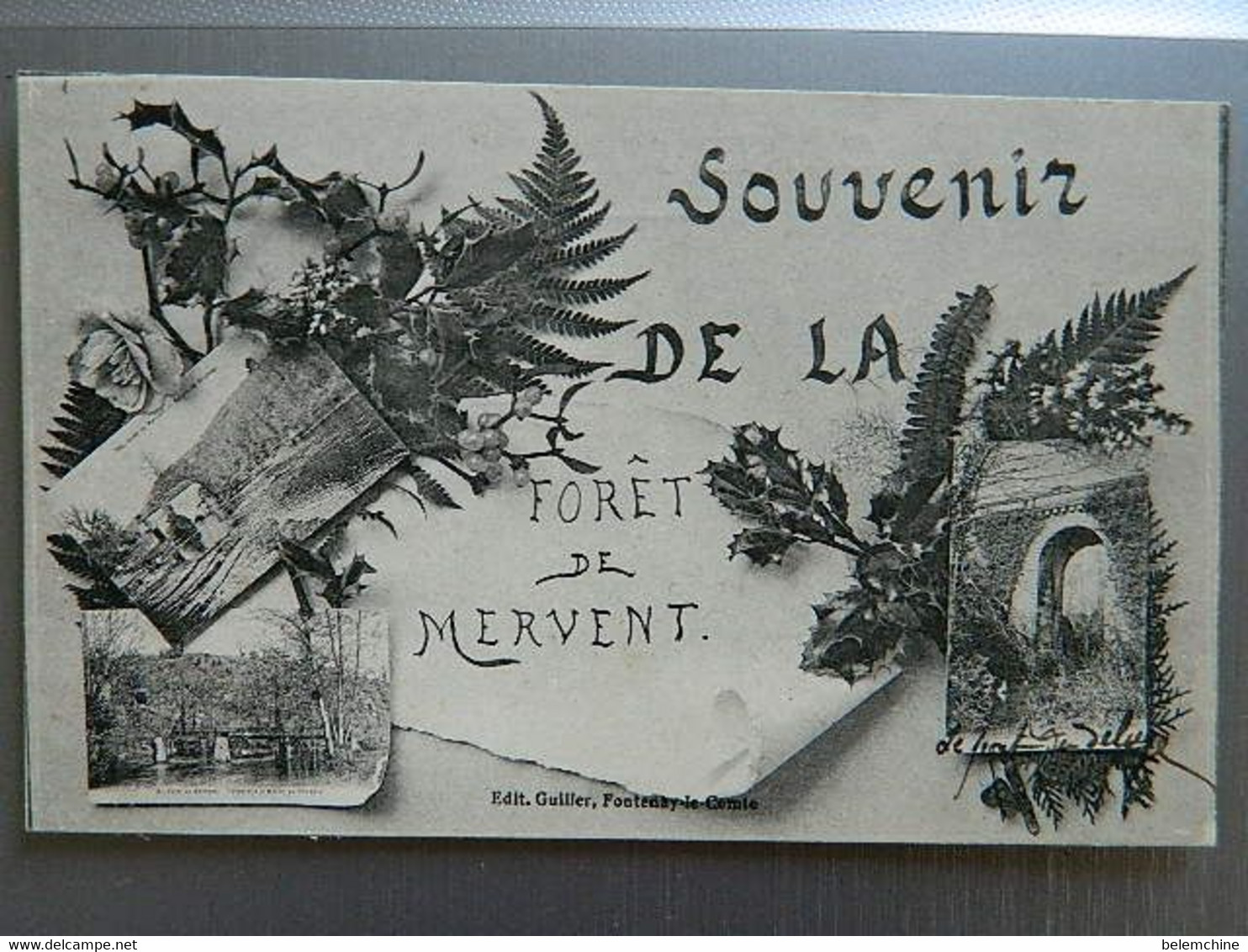 SOUVENIRS DE LA FORET DE MERVENT - Saint Hilaire Des Loges