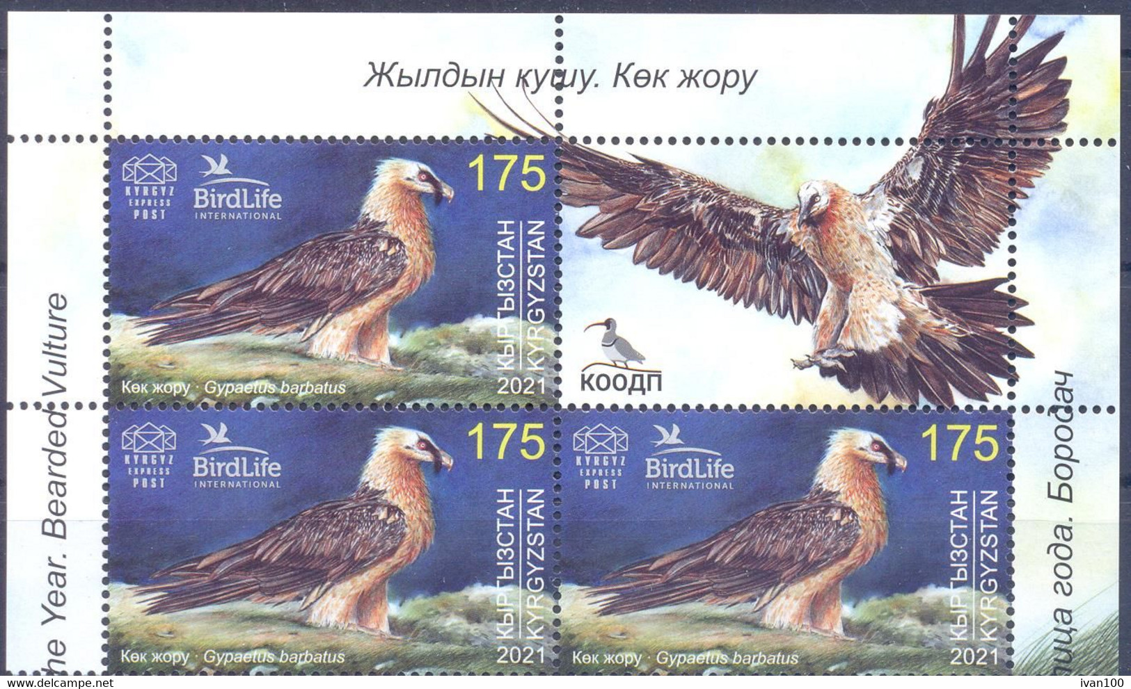 2021. Kyrgyzstan, Bird Of The Year, Bearded Vulture, 3v + Label Se-tenant, Mint/** - Kirghizistan