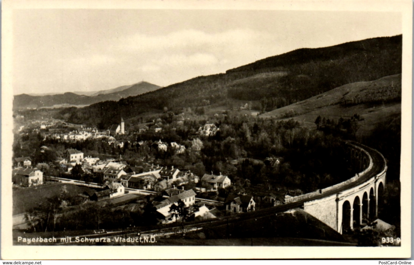 8479 - Niederösterreich - Payerbach Mit Schwarza Viadukt - Nicht Gelaufen 1959/60 - Raxgebiet