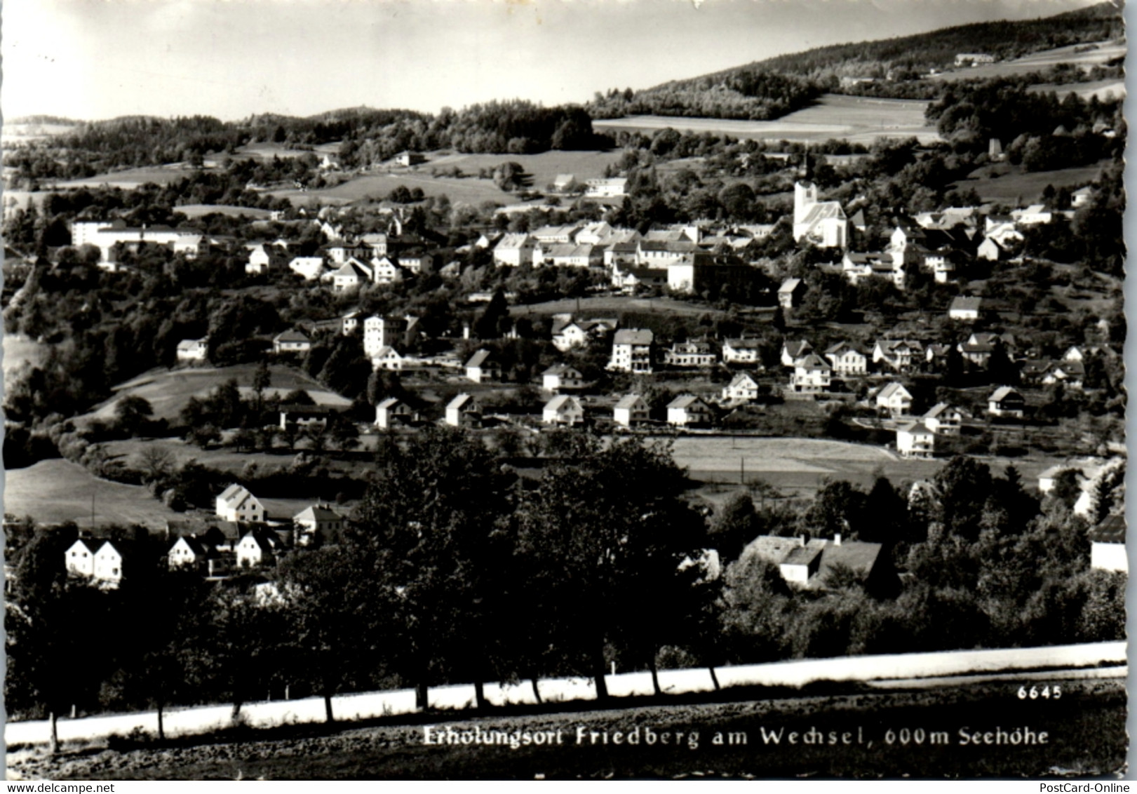 8702 - Steiermark - Friedberg Am Wechsel , Panorama - Gelaufen 1979 - Friedberg