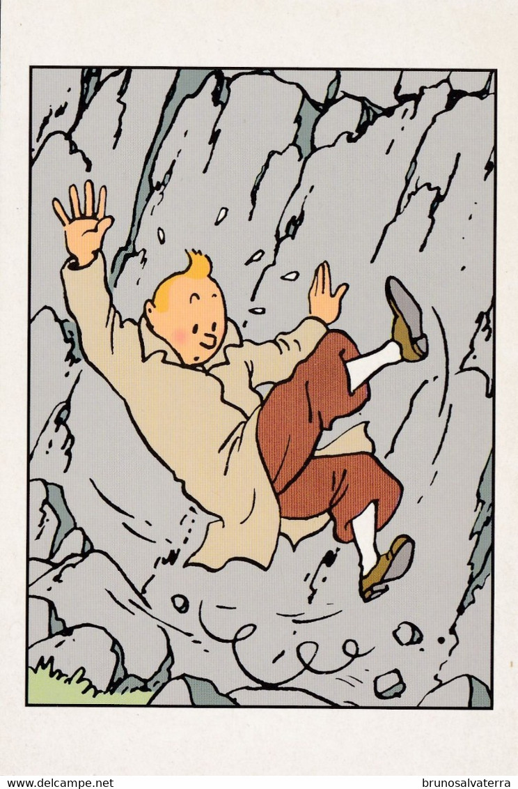 TINTIN - Bandes Dessinées