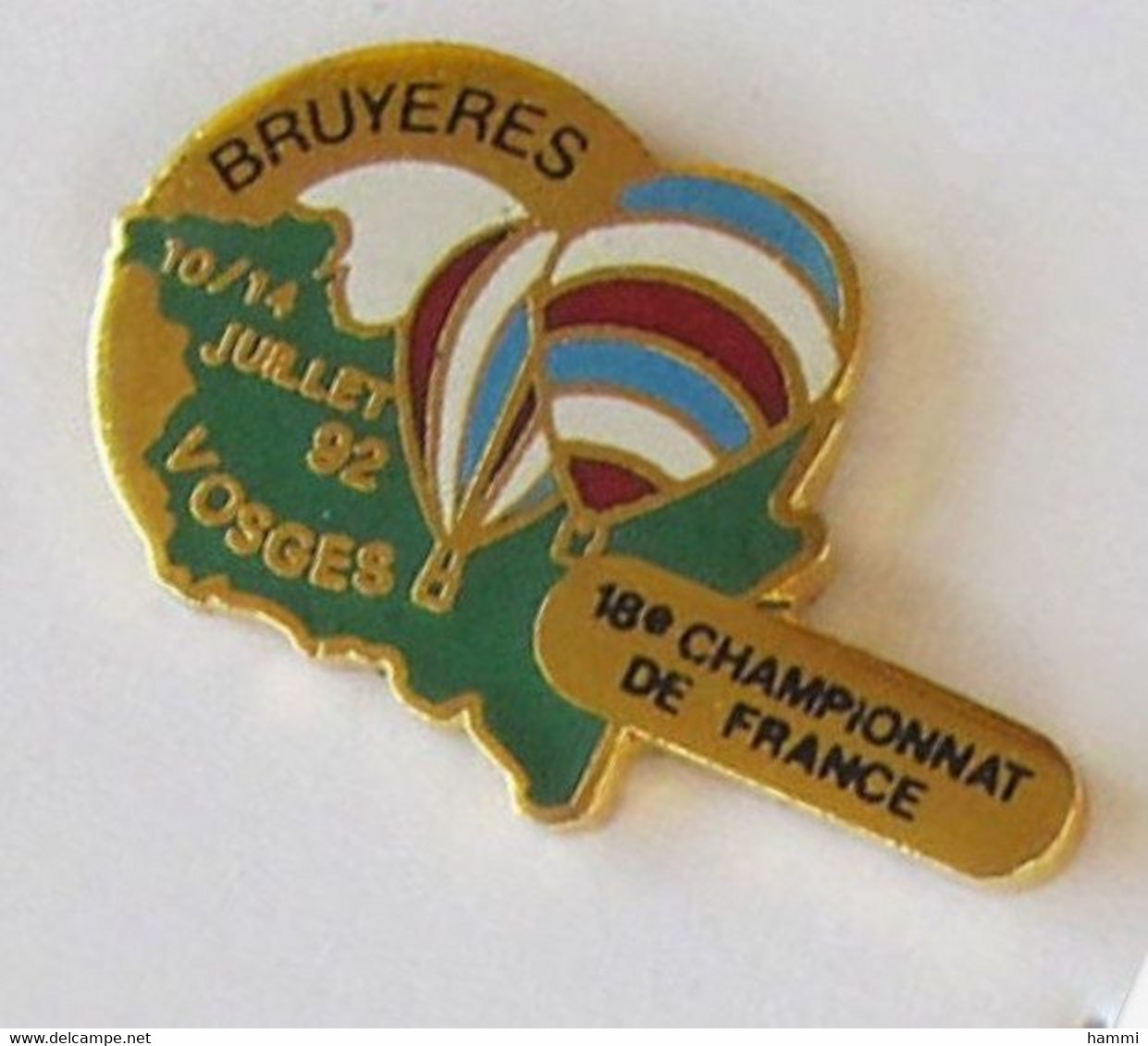 E16 Pin's Montgolfière Balloon Bruyeres Vosges Championnat France Qualité Egf Achat Immédiat - Montgolfières