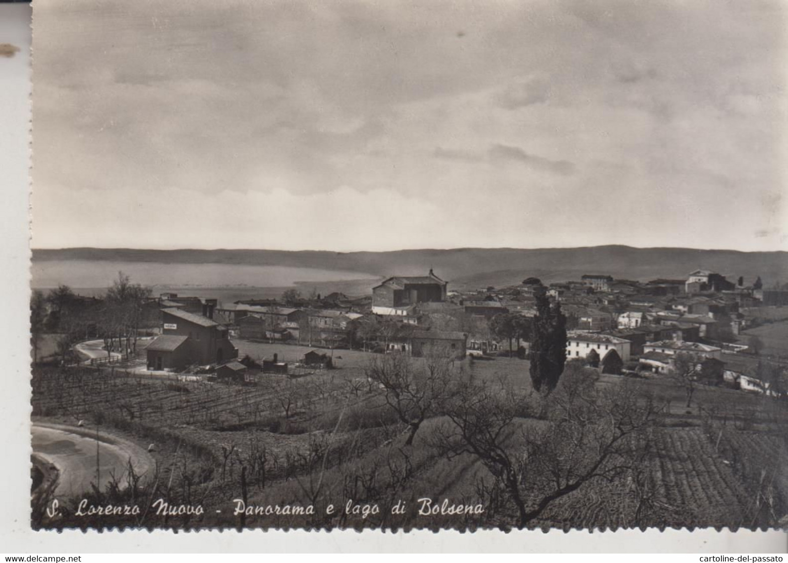 S. LORENZO NUOVO VITERBO  PANORAMA E LAGO DI BOLSENA VG  1958 - Viterbo