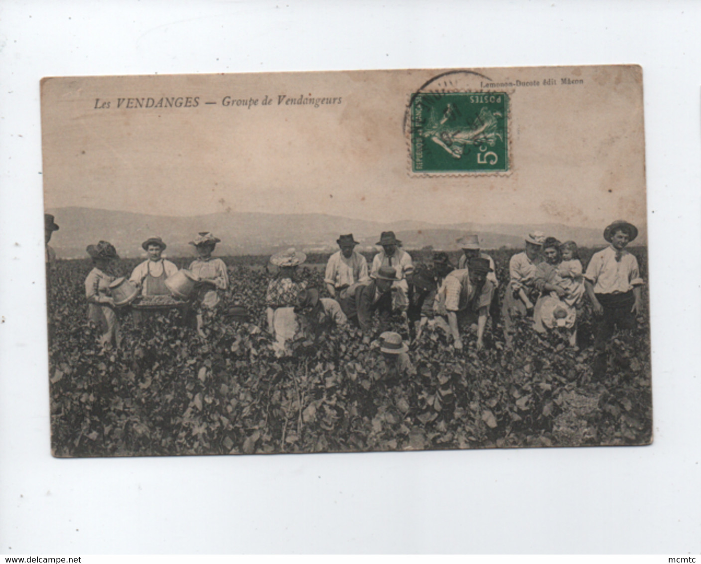 CPA -  Les Vendanges - Groupe De Vendangeurs  ( Vignes , Vigne , Raisins , Raisin ) - Vignes