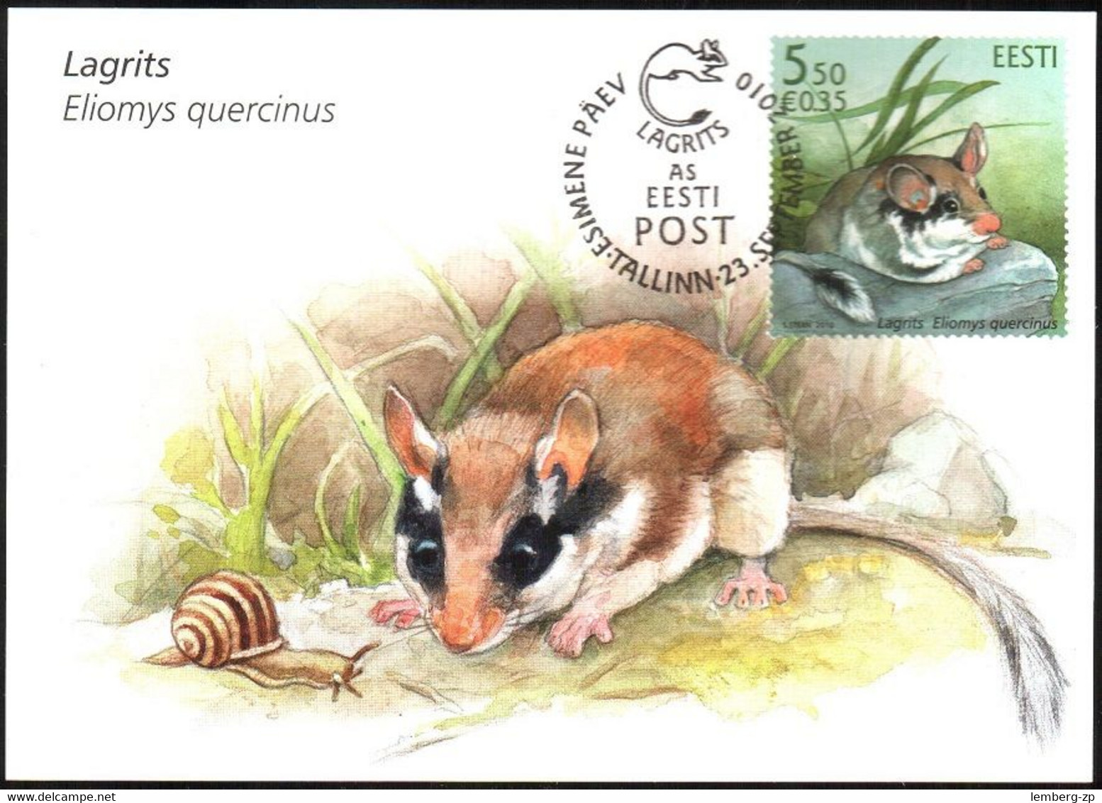 3043 - Estonia - 2010 - Garden Dormouse Sonya - Maxi Card - Lemberg-Zp - Estonia